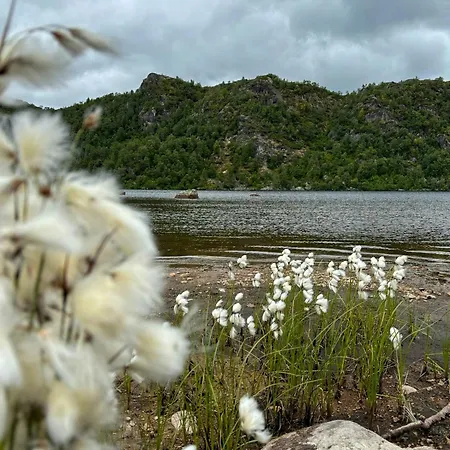 Mountain In Ljosland With Ski-in Access *